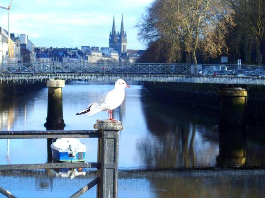 Sweet Home En Plein Coeur De Quimper Eksteriør bilde